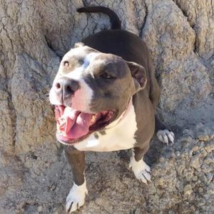 Meet your Posher, Steve